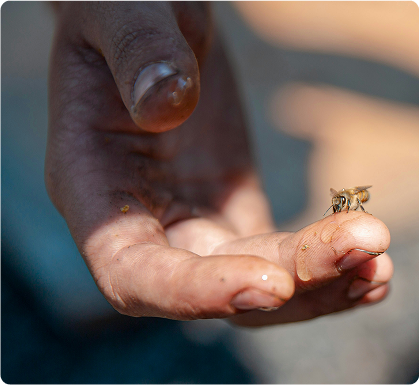 Main avec abeille